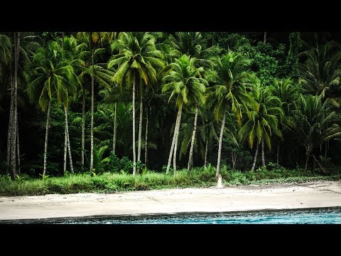 WELCOME TO THE JUNGLE! | VLOG⁴ 05 (Part 1)