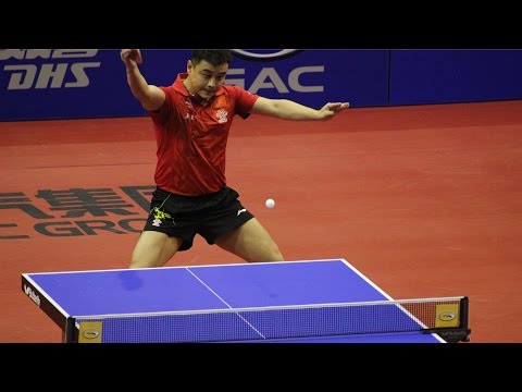 German Open 2014: Wang Hao vs Masato Shiono
