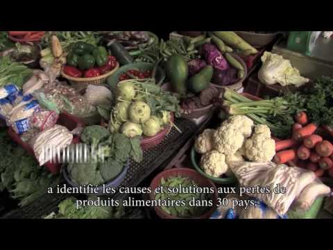 Tracking progress - From Paris COP21 to Marrakech COP22