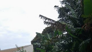 família claudemir  está ao vivo!