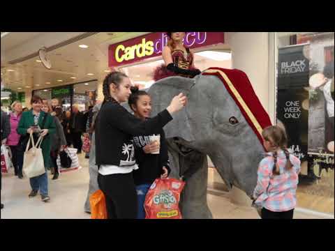 Elephants on Parade - The Greatest Show