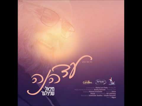 Ad Heinu - New Single by Michoel Schnitzler