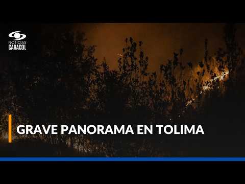 Incendios forestales consumen la vegetación del departamento de Tolima: "Llevo 8 días sin dormir"