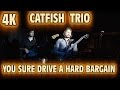 4K - CATFISH TRIO - YOU SURE DRIVE A HARD BARGAIN - Albert King - Live HD