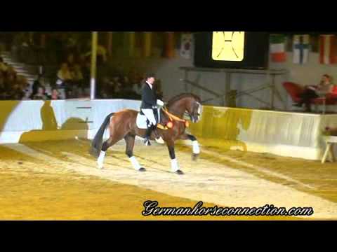 Lissaro.v.d.Helle.wmv