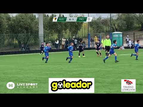 Audace legnaia vs Pro sesto