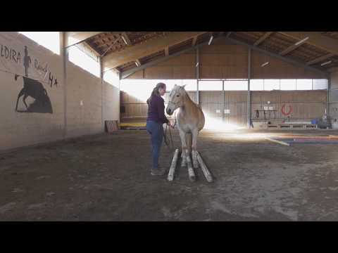 Challenge Part 1 [Extreme Trail Pauwels] - Janko