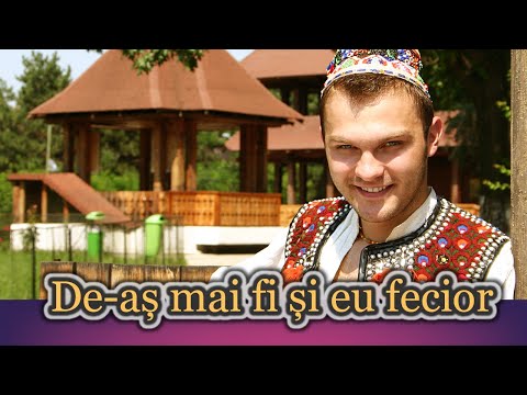 Ionica Morosanu - De-as mai fi si eu fecior | Single oficial