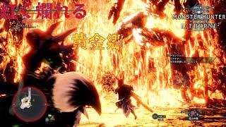 【MHW:I】ワイルズに向けて…#1【MRマム・タロト編】