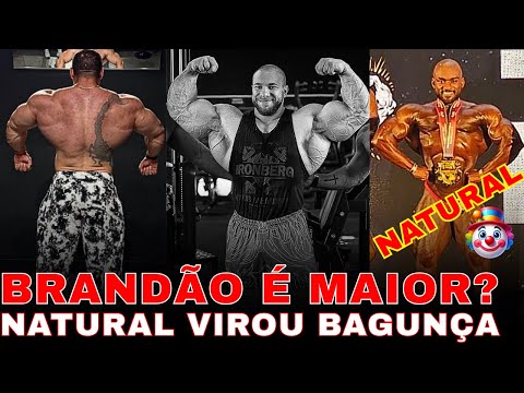 A JOKE BY THE FAKE NATURALS