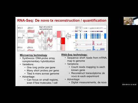 MIT CompBio Lecture 06 - Expression Analysis Clustering Classification (Fall '19)