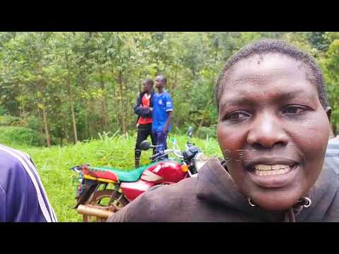 BABERE NIGO BAENEKIGWE GOKWA ASE OMOBASOKANO BWEBARA  RIATENGEYA -KEMERA ,KISII NYAMIRA ROAD