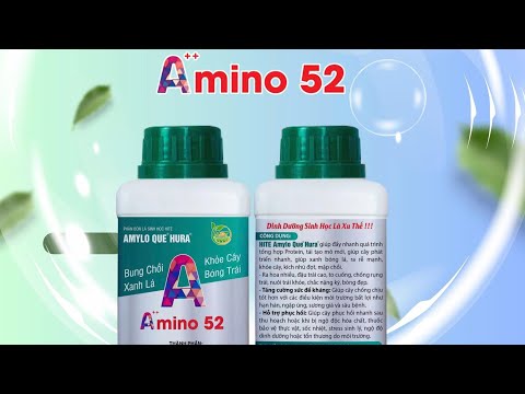 Chủ đề 6: VAI TRÒ CỦA AMINO ACID 52%