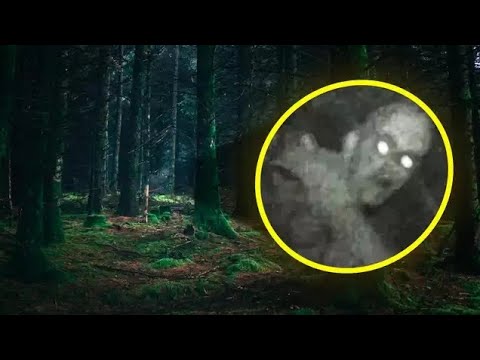 10 NIepokojących ZNALEZISK  dokonanych przez STRAŻNIKÓW LEŚNYCH!