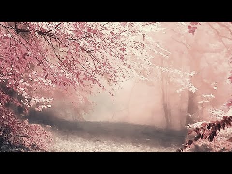 Nagasaku Kanami's final song dedicated to her fiancé (Noriyuki Asakura) original