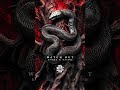 Karpa & RAIDO - Watch Out [SERPENT EP] ☞ 27.2.2025 #dnb