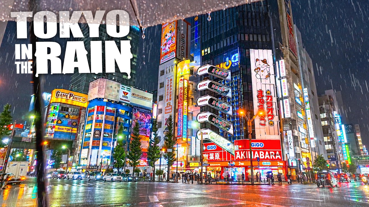 I Walked Across Tokyo At Night... In the Rain [8K]