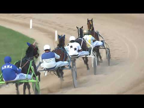 2017.08.19. 5. futam - SZENT ISTVÁN DÍJ I. FUTAM