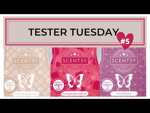 New SCENTSY FW Tester Tuesday - Cinnamon Buttercream, Pomegranate Prosecco and Berry Blessed Round 5