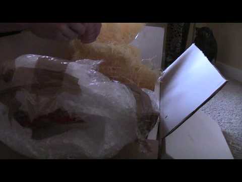 Yves Lohe - Orion le Cheval