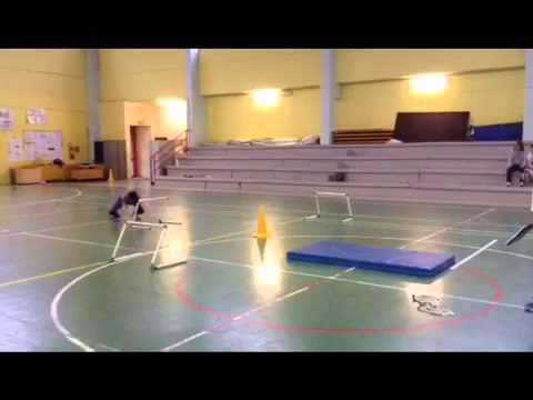 Test di destrezza di Harre