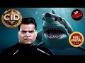 जानलेवा Sharks वाले गहरे पानी में क्यों उत