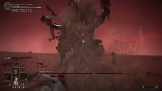初見エルデデンリング！3