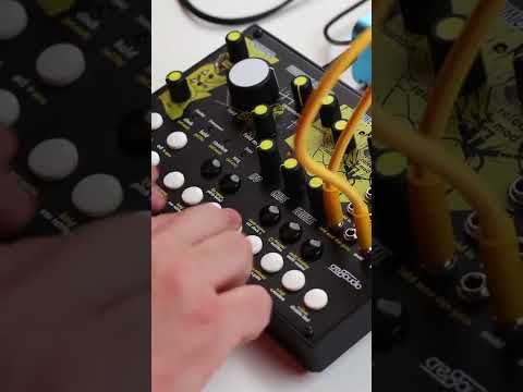 $250 synths that sound great! 🤯