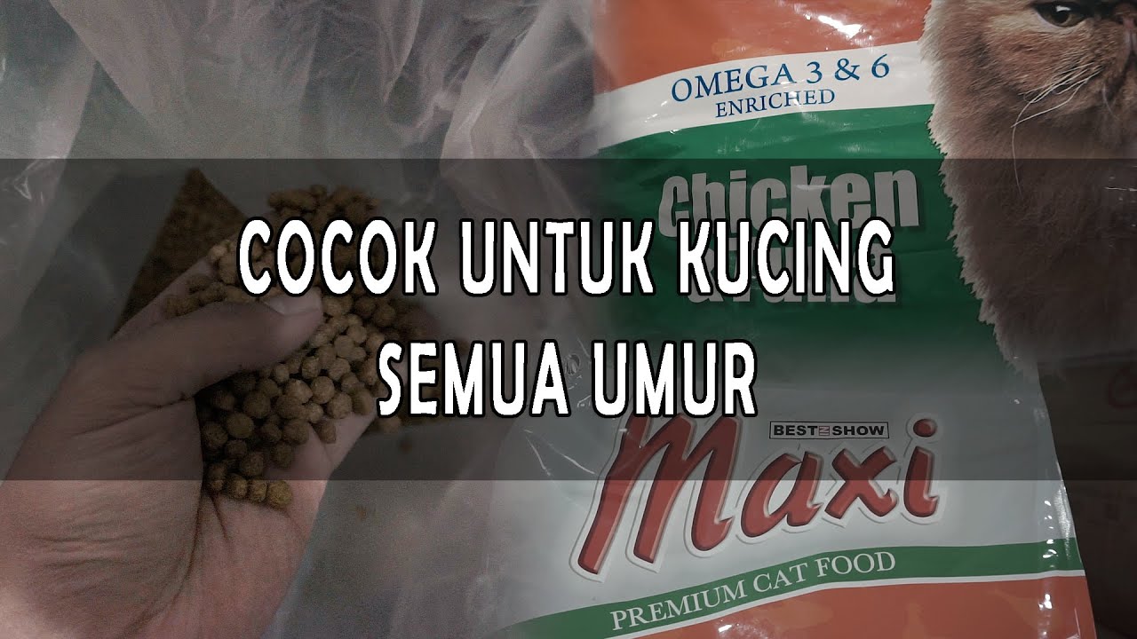 Makanan Kucing Maxi Chicken & Tuna - REVIEW