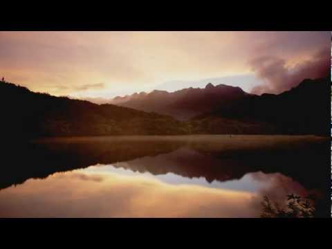 True Tiger - Big Love (Ft. Maiday) (Haze Remix) [HD]