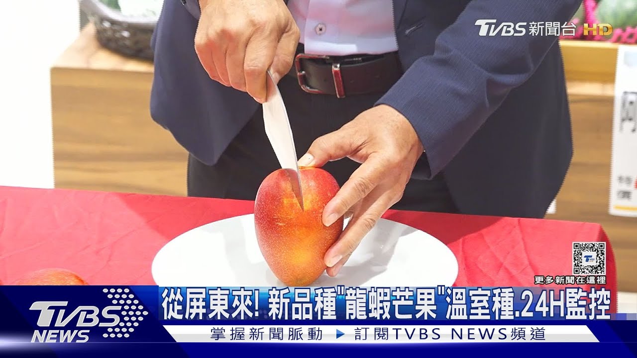 從屏東來!新品種「龍蝦芒果」 溫室種、24H監控