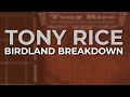 Tony Rice - Birdland Breakdown (Official Audio)
