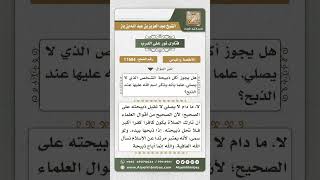 صورة 11604  - حكم أكل ذبيحة تارك الصلاة   -  نور على الدرب