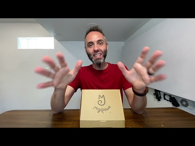Best Cat Toys 2023 with USB-C Charging: Top Picks for Your Feline Friend - close-up view