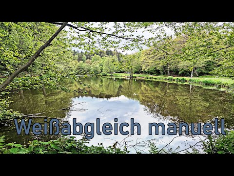 Gimp 2 10 24 manueller Weißabgleich