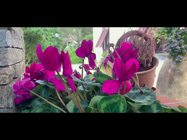 La Magia di una Villa Bifamiliare con Vista Mare dalla Collina (Leivi, Chiavari)