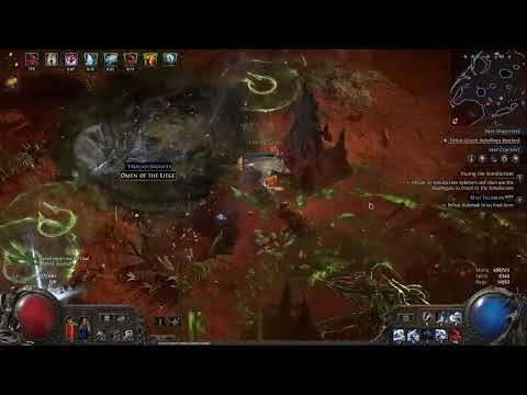 More POE 2 SSF LVL 98 Wolf Druid Gameplay
