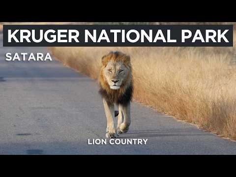 Kruger National Park - SATARA