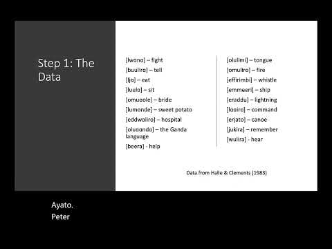 ENG2200 SupplementalL Phonological Analysis Example (Summer 23)