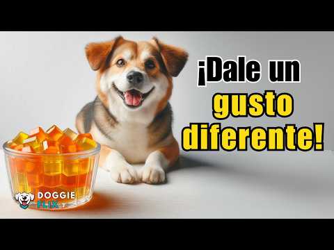 How to Make Healthy Gelatins for Dogs at Home