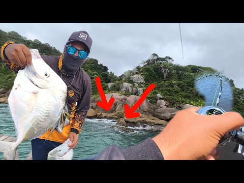 Only top-notch catches at Ilha do Bom Abrigo, Cananéia, SP.