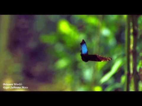 Roger Subirana Mata  - Between Worlds