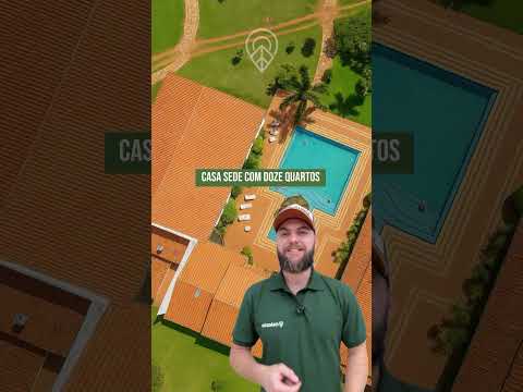 Fazenda fenomenal em Mundo Novo – GO 🐂🌱