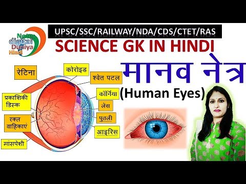 मानव नेत्र | Human Eyes | Science Gk | Gk | Gk Hindi | SSC | Gk in HIndi | Science | Eyes Video