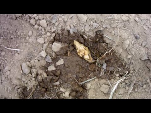 Hunting Arrowheads - A Double Ended Pointy Thing Video