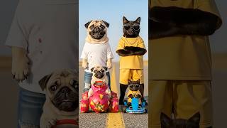 The adult pug gifted the baby pug a magnificent car 🐾🏎️💝 #funny #pug #cute #cat #shorts #poordog