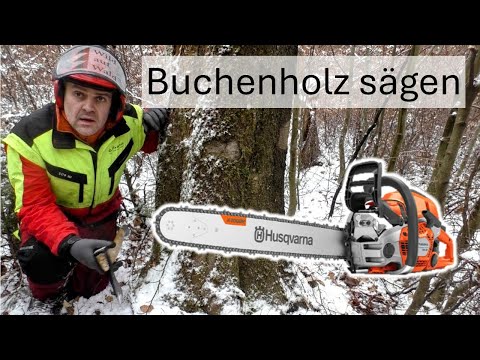 🌲SO macht BRENNHOLZ fällen richtig Spaß – schnell, sicher mit Husqvarna 564 XP #wildaufwald
