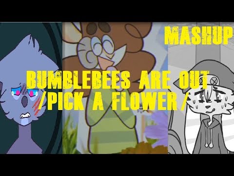 BUMBLEBEES ARE OUT / PICK A FLOWER (Mashup)