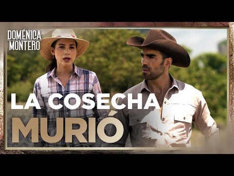 Luis Fernando pierde la esperanza de un mejor futuro | Doménica Montero 1/4 | Capítulo 24