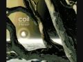 Coil - Musick To Play In The Dark² - Batwing (A ...
